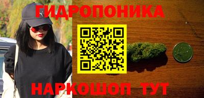 амф Шебекино
