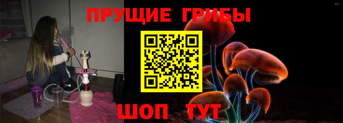 Галлюциногенные грибы Psilocybe Кольчугино